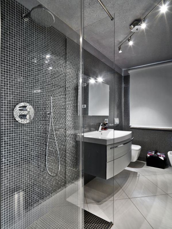 Modern Walk-In Shower